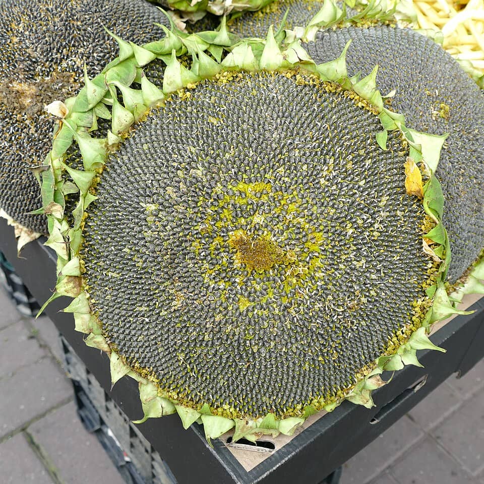 Kungaboqar urug'i (qovurilgan) 200 g