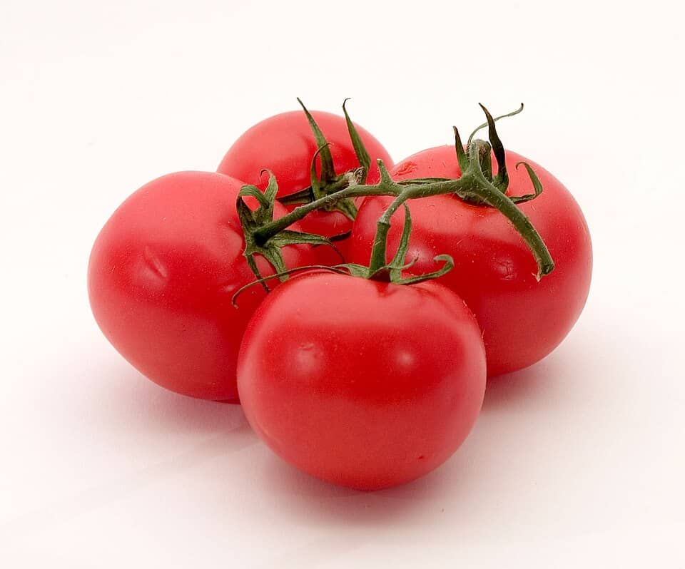 Pomidor